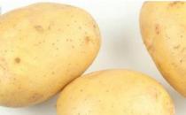 女性冬季怎么進(jìn)補(bǔ)養(yǎng)顏