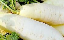 女性冬季排毒養顏最佳食物