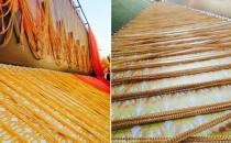 有錢任性，迪拜打造世界最長金鏈長度5千米