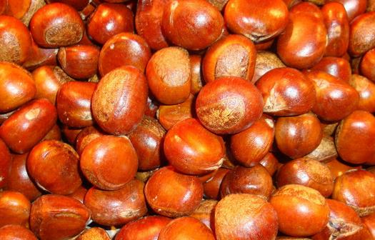 板栗怎么保存才好?炒板栗怎么做?