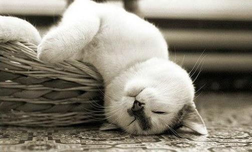 如何治療經(jīng)常頭暈？頭暈的原因