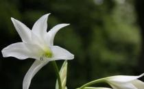 女性腎虛的7大表現 應該吃什么