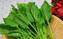 女性春季最養生的食物是什么