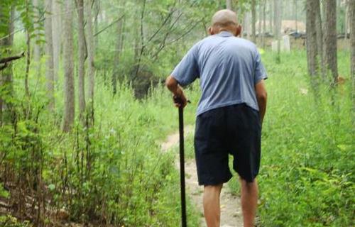 老年人駝背貧血怎么辦 飲食吃什么好