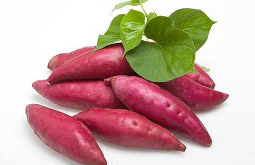 紅薯減肥食譜輕松瘦