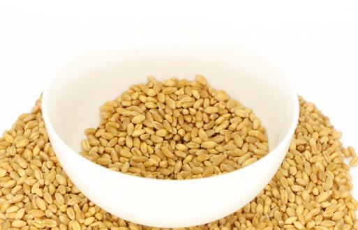 高纖谷物 誰才是減肥冠軍