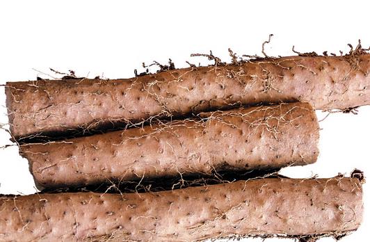 男性腎虛吃什么食物強腎好