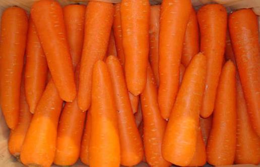 四種蘿卜各有什么營(yíng)養(yǎng)？紅白蘿卜混吃是禁忌