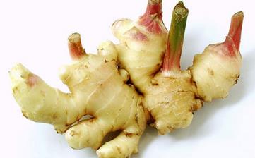生姜_生姜的功效與作用,生姜蜂蜜水,生姜紅糖水的作用,營養(yǎng)價值