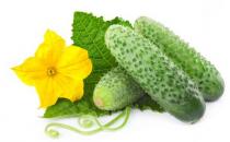 春季吃黃瓜營養又健康