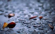 夏季多雨季節飲食注意有方法