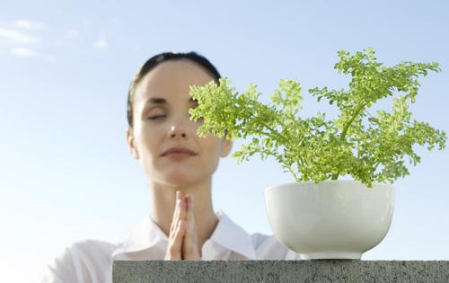 白領養生的黃金時間