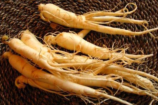 冬季吃人參能預(yù)防感冒 六類人不宜吃