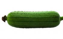 女性秋季吃絲瓜好處多 秋季應季蔬果盤點