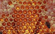 蜂蜜 女人美容養顏圣品