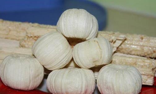 南方過小年吃什么？