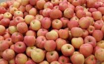 孕婦吃什么能促進胎兒大腦發育？