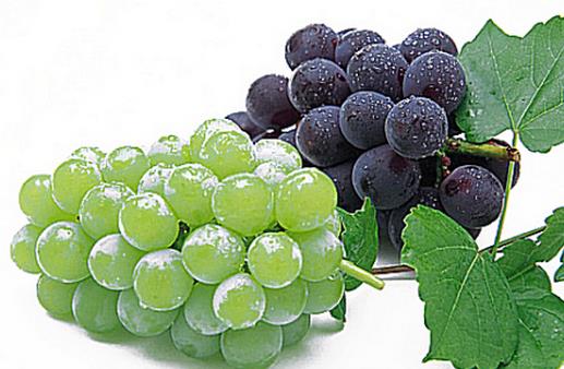 利用果皮也能讓肌膚白皙透亮