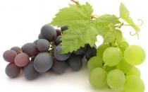 節日飲酒過量怎么辦？十種解酒食物推薦