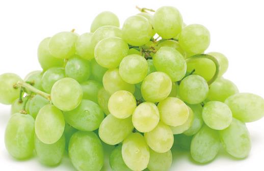 美容食物小清單 抗氧化遠離自由基