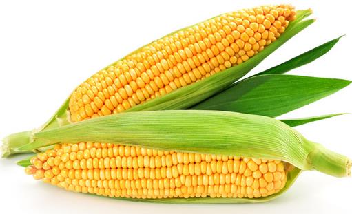 吃什么可以提高記憶力？