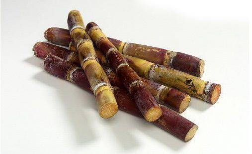 女人超補(bǔ)血的食物大全