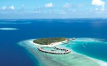 外出旅游要注意避開這些毒物！