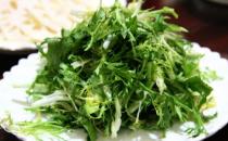 春季常見野菜的食用功效 吃野菜的注意事項