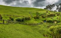 去除衣物霉味、霉斑的妙招