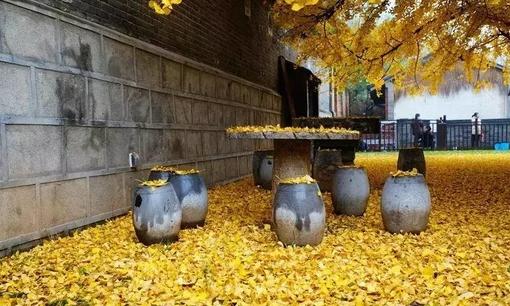 優秀管理者：員工總是無故曠工怎么辦？