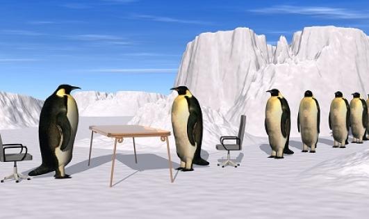 面試結(jié)束還需要做什么嗎？