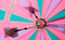 求職者應像這些動物一樣