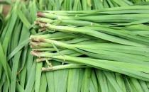 男性保健之中醫補腎