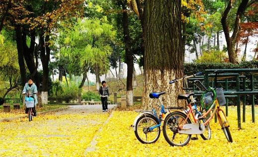 盲目轉行可能使職業滑坡