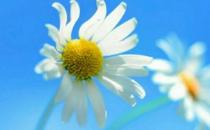 ?春節期間跳槽的理由：時間充裕