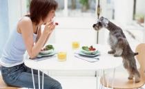 職業女性該如何自我調節心理壓力