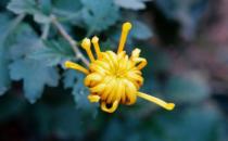 你在職場上為什么總是失敗