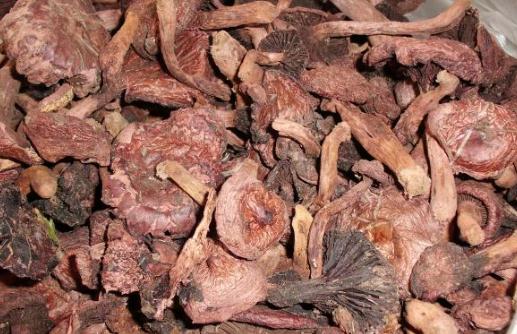 肉蘑有哪些功效？肉蘑的做法