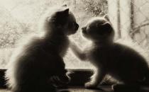 肩并肩的溝通有時會更好