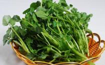 吃西洋菜可以預防癌癥你知道么