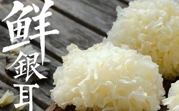 【銀耳】_銀耳的營養價值,銀耳的功效,銀耳怎么做,銀耳的做法大全