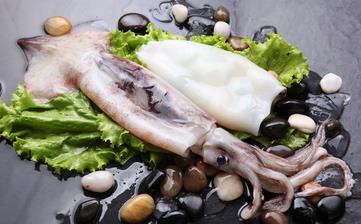 【魷魚】_魷魚的營養價值,魷魚怎么做好吃,魷魚的做法大全