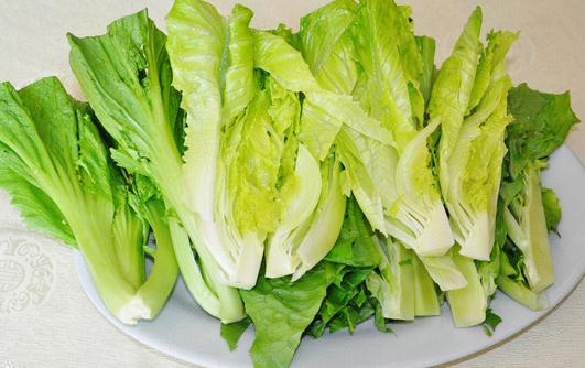 白菜有多種 哪種白菜營養更高？