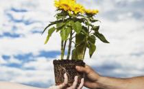 鄰里關系好會給我們帶來哪些好處？