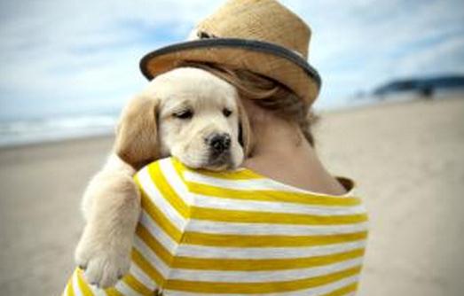 養(yǎng)寵物能夠克服孤獨(dú)感