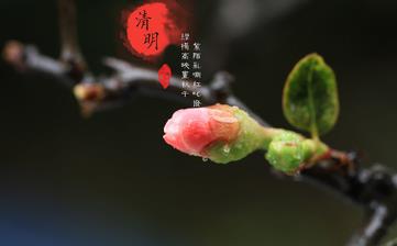 【清明節氣】清明是幾月幾日_清明吃什么_清明養生_清明是什么意思