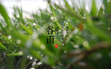【谷雨節氣】谷雨是幾月幾日_谷雨吃什么_谷雨養生_谷雨是什么意思