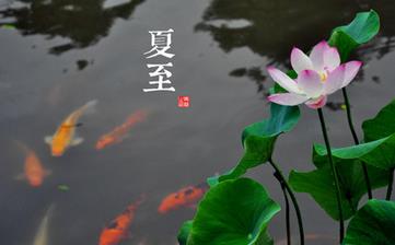 【夏至節氣】夏至是幾月幾日_夏至吃什么_夏至養生_夏至是什么意思