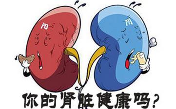 【腎虛】腎虛的表現_腎虛吃什么_腎虛的原因_腎虛的癥狀有哪些