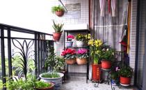 陽臺怎么種花最合適？